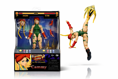 Jointed Figure Street Fighter