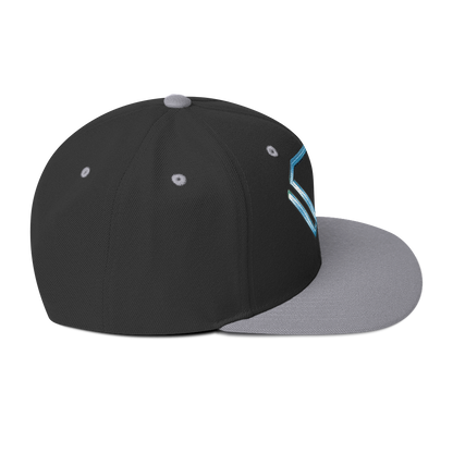 Black/Silver